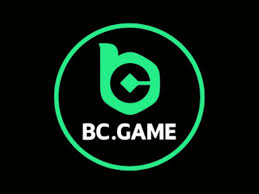 Comprehensive BC App Player Reviews - Features and User Experiences