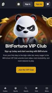 Exciting New Releases at Bitfortune Casino -1177648496