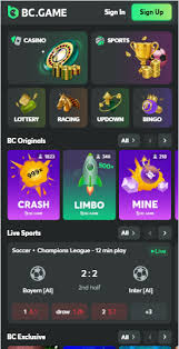 Ultimate Guide to the BC Game Betting App