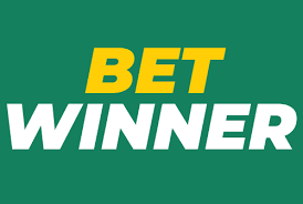 Understanding BetWinner’s Privacy Policy Understanding BetWinner’s Privacy Policy